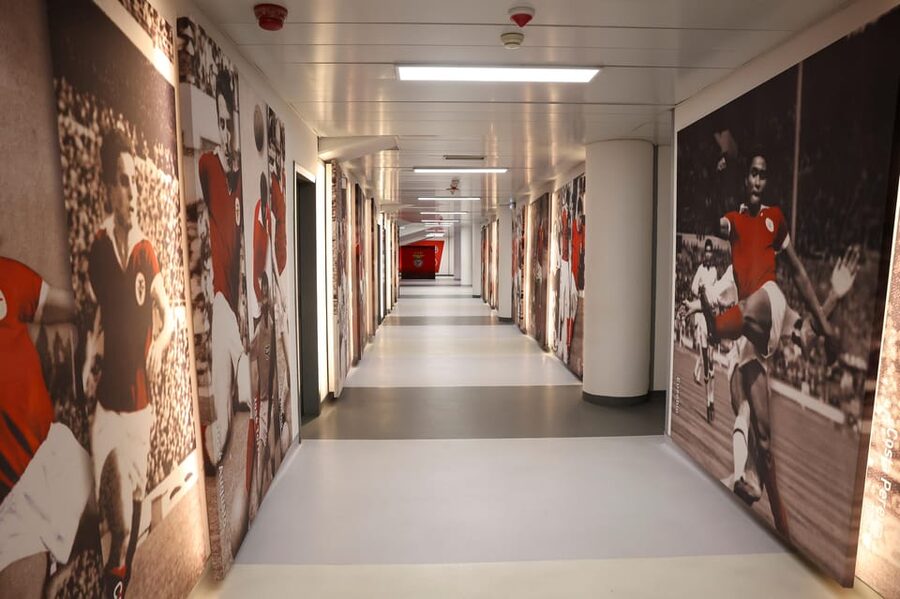Lisbon: Benfica Luz Stadium Tour with Souvenir Scarf - Press Conference Room and Hall of Fame: where stories get specific