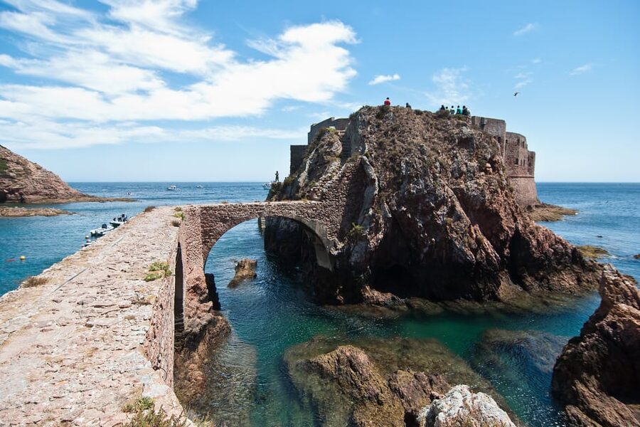 Lisbon: Berlenga Island Full Day Tour - What the Sea Life Viewing Actually Gives You