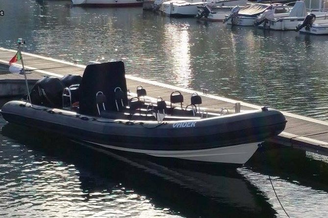 Lisbon : Birdwatching Boat Tour - Tagus Estuary - Birdwatching in real time: how spotting and ID actually works