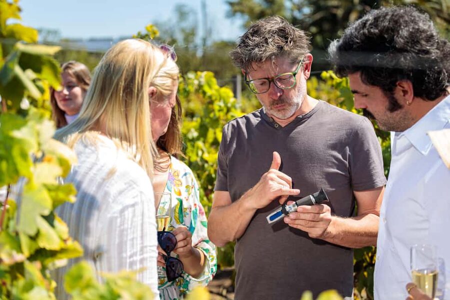 Lisbon: Carcavelos Vineyard Tour and Wine Tasting - Key Things I’d Mark on Your Map