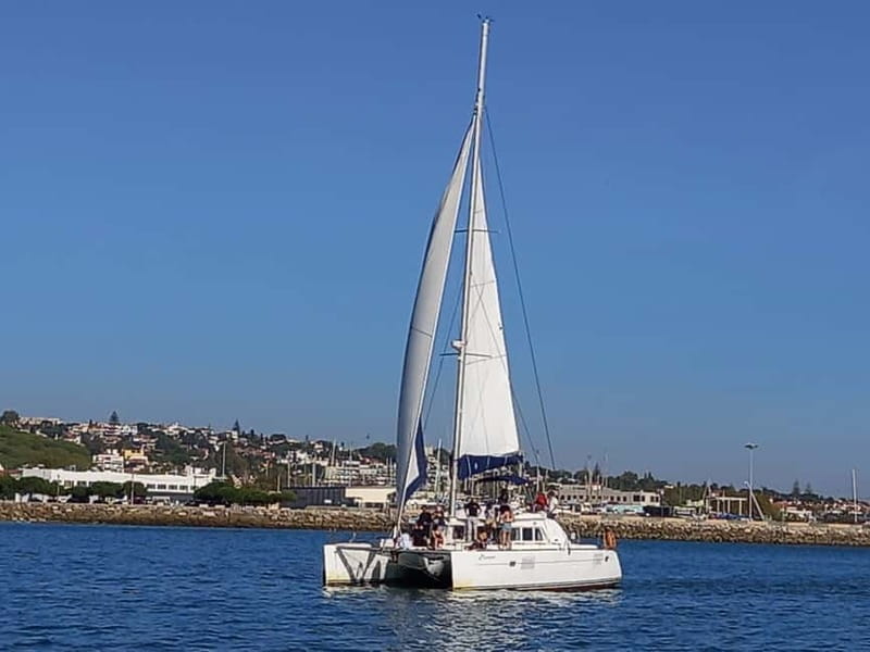 Lisbon: Catamaran Cruise with Drinks & Pastel de Nata - MAAT and Belem Tower: When the Shore Starts to Feel Like a Story