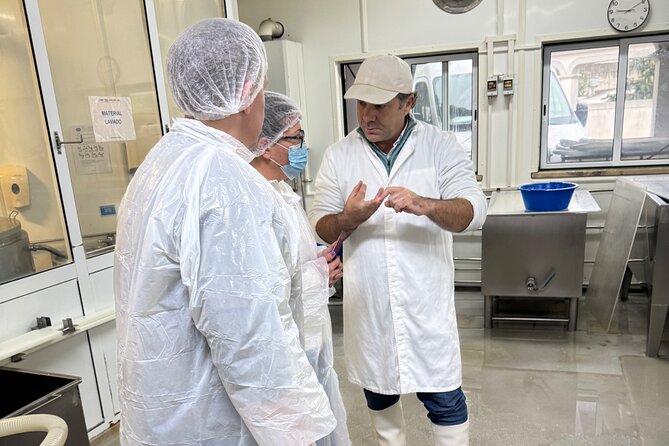 Lisbon Cheese Factory Visit, Wine Tasting and Tile Painting Tour - Cheese, Wine, and Tiles: A Lisbon Day With No Waiting Around