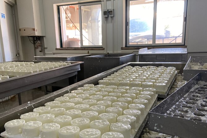 Lisbon Cheese Factory Visit, Wine Tasting and Tile Painting Tour - Seixal Tile Workshop: Painting a Ceramic Memory You’ll Actually Use