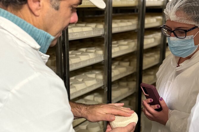 Lisbon Cheese Factory Visit, Wine Tasting and Tile Painting Tour - What the Private Format Actually Changes for You