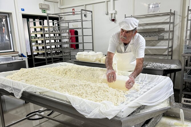 Lisbon Cheese Factory Visit, Wine Tasting and Tile Painting Tour - Price and Value: Why This Costs $216.67 (And Why It Might Be Fair)