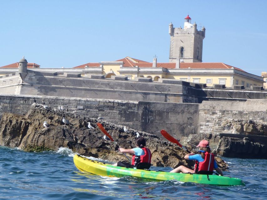 Lisbon: Coast Guided Kayak Tour - Why Lisbon Coast Kayaking Feels Like a Local Shortcut