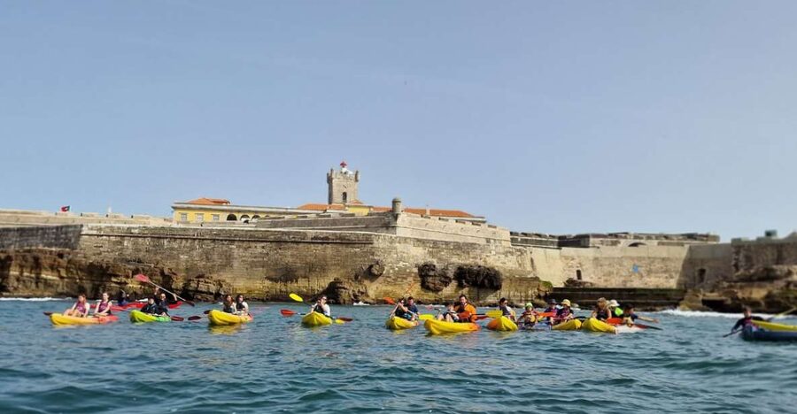 Lisbon: Coast Guided Kayak Tour - Getting Your Paddle Basics Right at BORK Kayak & Outdoor Centre