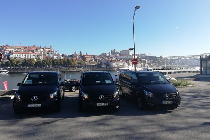 Lisbon Cruise Port Private Transfer to/from Lisbon Airport - Luggage, Seats, and Special Needs: Read This Part Before You Go