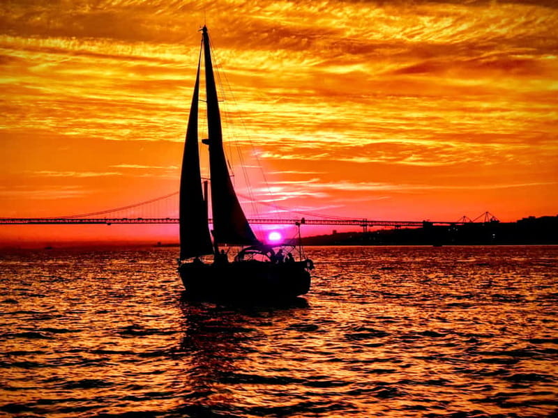 Lisbon: Daytime or Sunset Boat Cruise with History and Wine - Practicalities that can make or break your trip