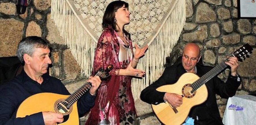Lisbon Dinner with Fado Show and Sights by Night - Key points to know before you go