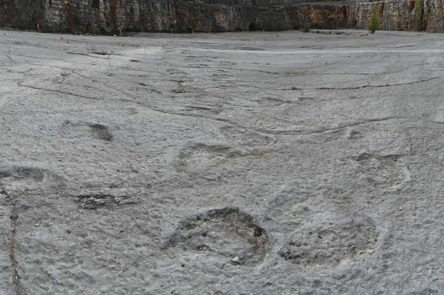 Lisbon: Dinosaur Footprints, Caves, and Obidos Tour - What to pack so the day feels easy