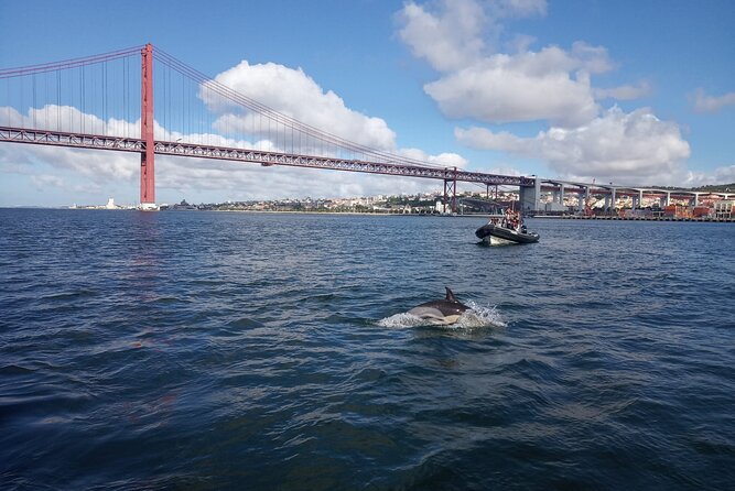 Lisbon: Dolphin Watching with a Marine Biologist - Ocean Safari - Stop 3: Lisbon from the water, plus historical context
