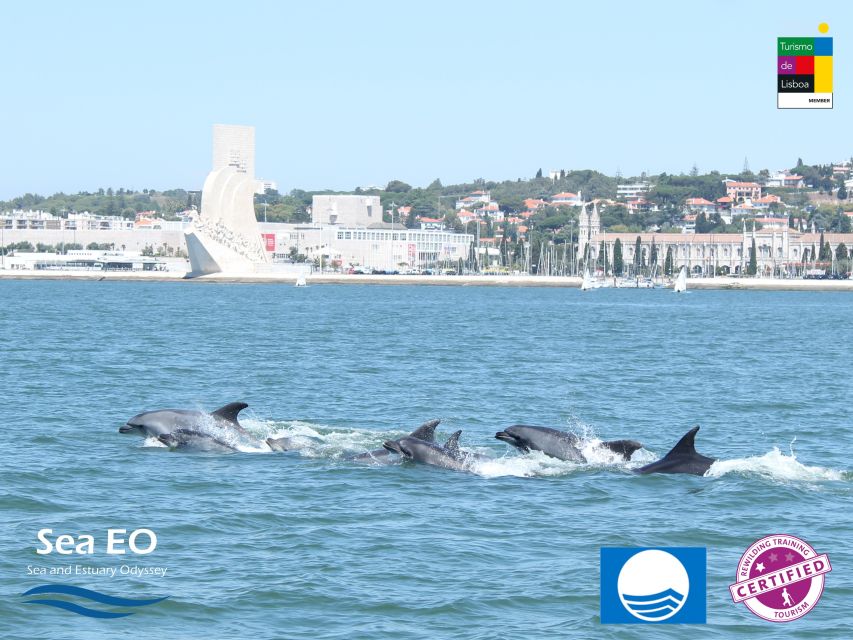 Lisbon: Dolphin Watching with Marine Biologist - Belém Tower and the Discoveries monuments: the land-based finish you’ll actually notice