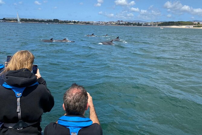 Lisbon: Dolphin Watching with Marine Biologist - Small Group - Lisbon dolphin watching from the Tagus: what this tour is really like