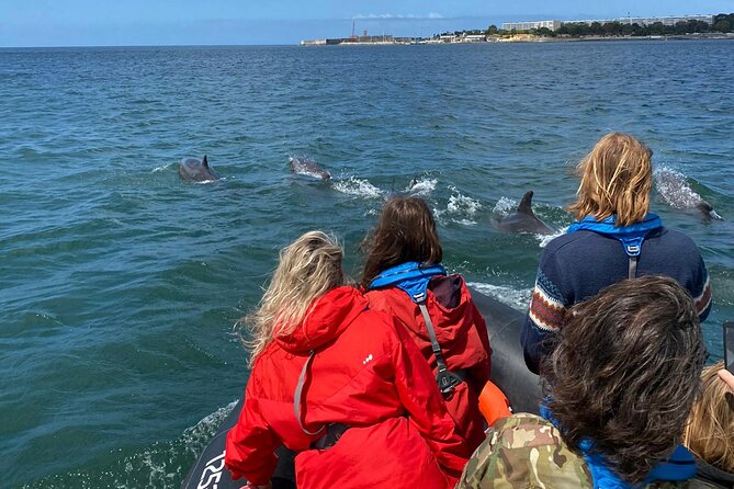 Lisbon: Dolphin Watching with Marine Biologist - Small Group - On the water: how the crew finds dolphins (and why it can vary)