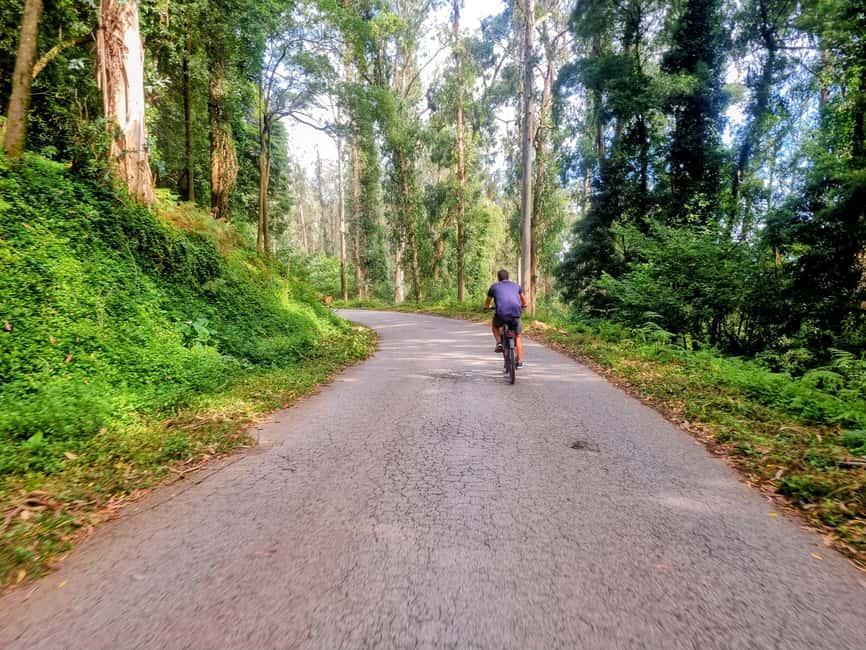 Lisbon: E-Bike Adventure to Belém & Monsanto com Degustação - Who Should Book This Tour (and Who Should Skip It)