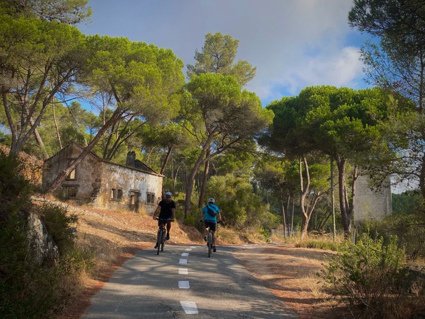 Lisbon: E-bike Trip from the Sintra Mountains to Cascais Sea - Key points to know before you pedal