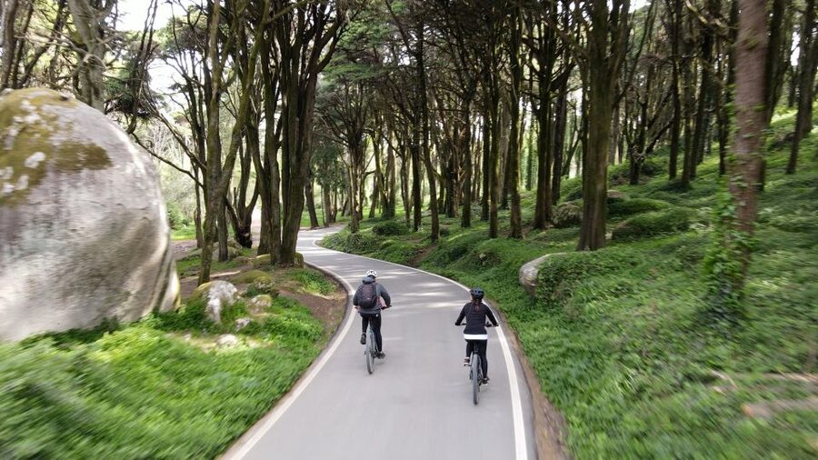 Lisbon: E-bike Trip from the Sintra Mountains to Cascais Sea - From hotel pickup to Cascais Market: how the day starts