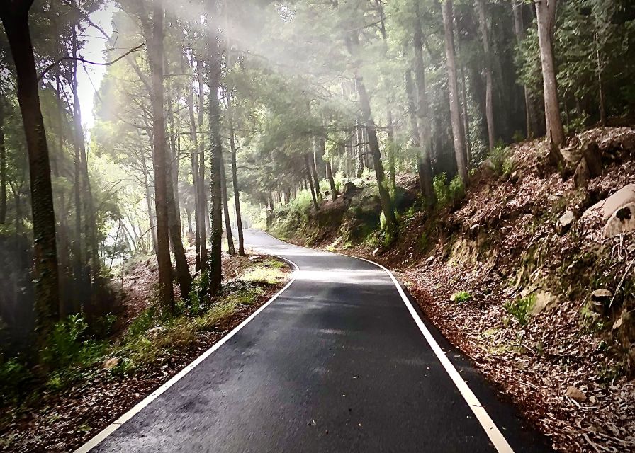Lisbon: E-bike Trip from the Sintra Mountains to Cascais Sea - How the e-bike fits your body and protects your day