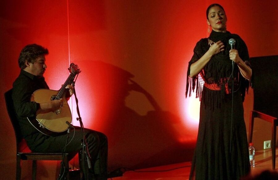 Lisbon: Evening City Tour with Dinner and Live Fado Show - Setting the mood: what a 4-hour Lisbon night tour really means