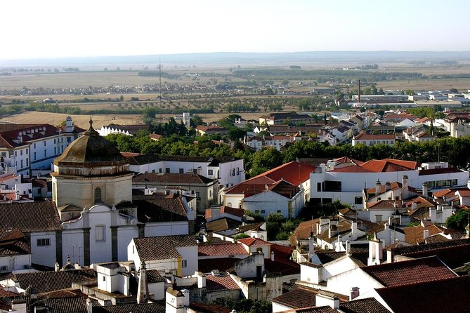 Lisbon : Évora (c/ Cathedral & Capela Ossos), Cartuxa & Cortiçarte - Key highlights to watch for