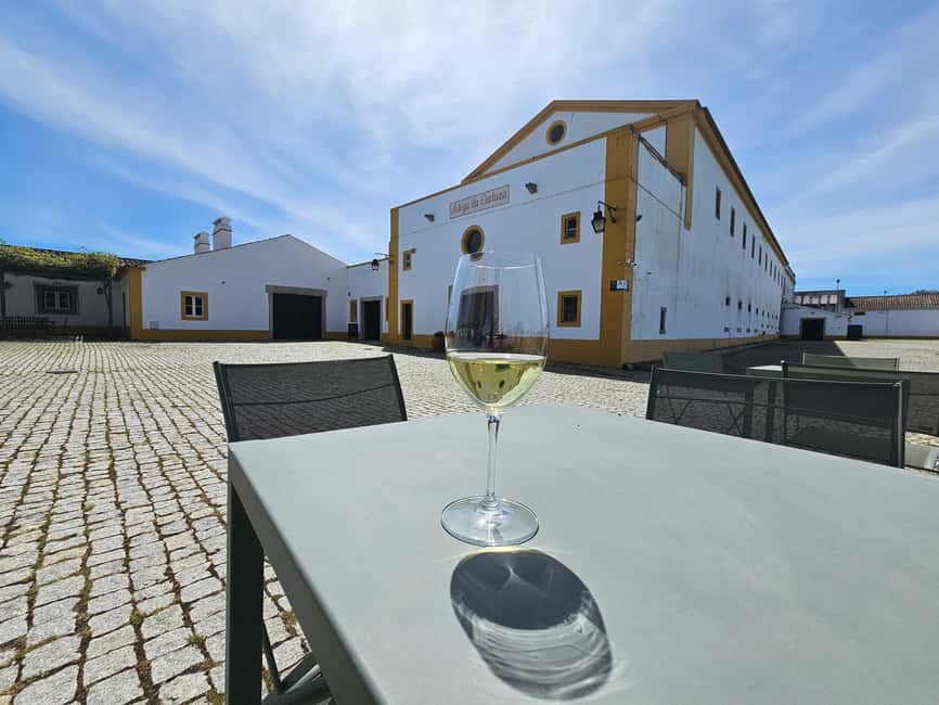 Lisbon: Évora (w/ Cathedral & Bones), Cartuxa & Cork Factory - Cartuxa vineyards: iconic Portuguese wine brand, plus optional tasting