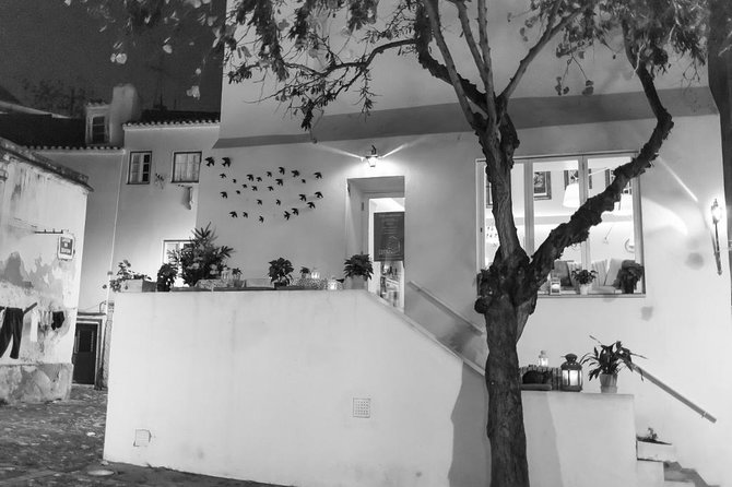 Lisbon Fado Walking Tour (with a Fado singer) - Timing, meeting point, and how to plan your evening