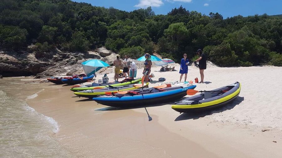 Lisbon: Full-Day Kayak Tour with Picnic and Transfer - The Kayak Portion: Why Getting Sea Views Matters