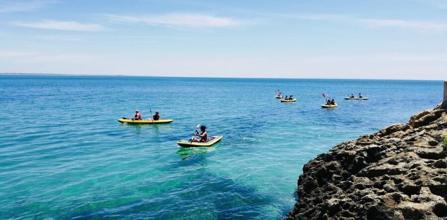 Lisbon: Full-Day Kayak Tour with Picnic and Transfer - Price and Value: Why $88 for a Full-Day Kayak Can Make Sense