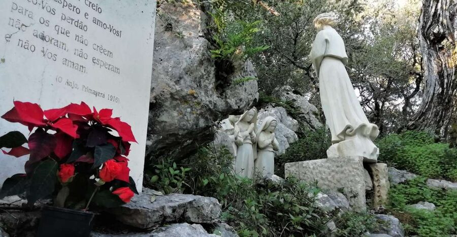 Lisbon: Full-Day Private Guided Tour to Fátima - Key highlights to know before you go