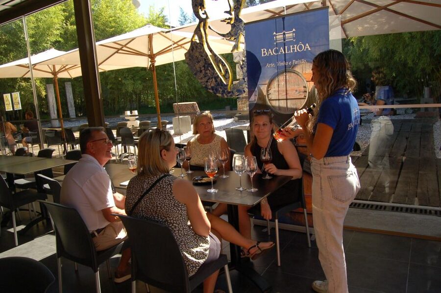 Lisbon Getaway: Private Arrábida Wine & Food Tour - Key Things You’ll Really Notice