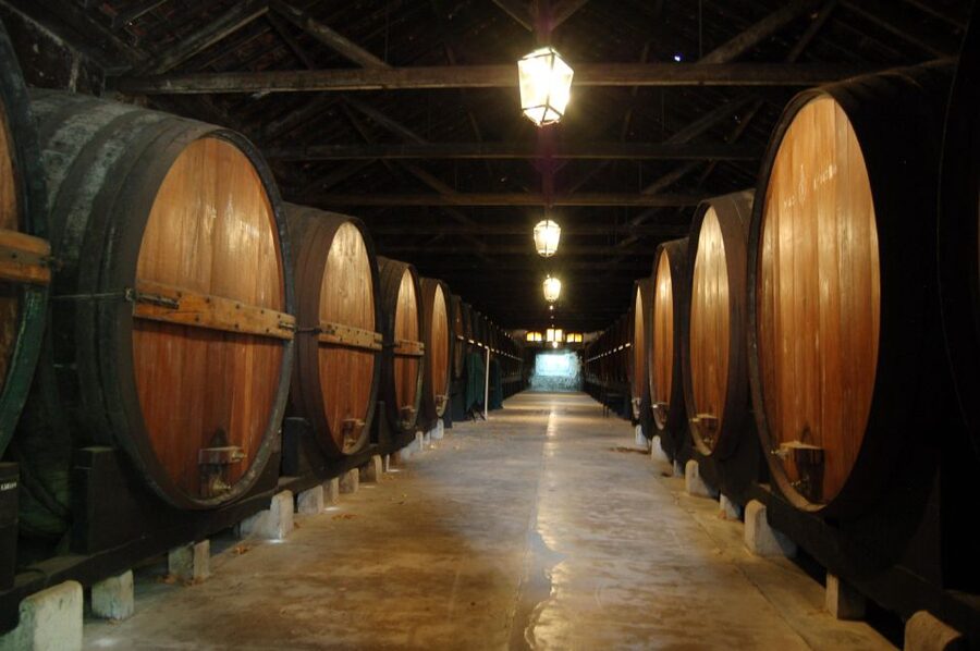 Lisbon Getaway: Private Arrábida Wine & Food Tour - José Maria da Fonseca: Historic Winery Museum + Focused Tastings