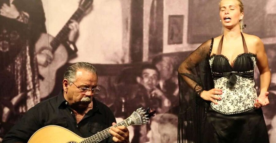 Lisbon: Half-Day Night Group Tour w/ Fado Dinner Show - Who this Lisbon night tour suits best (and who should reconsider)