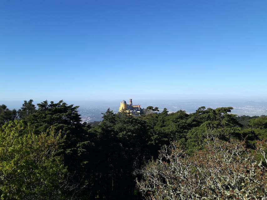 Lisbon: Half-Day Sintra Tour with Pena Palace and Regaleira - Sintra Village Break: Travesseiro and Queijada Without the Guesswork