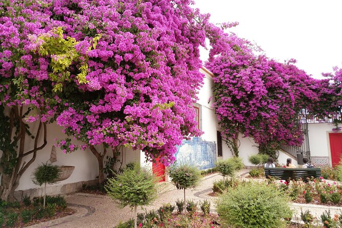 Lisbon Highlights - Private Tour with Van and Local Guide - Practical Tips So Your Day Stays Smooth