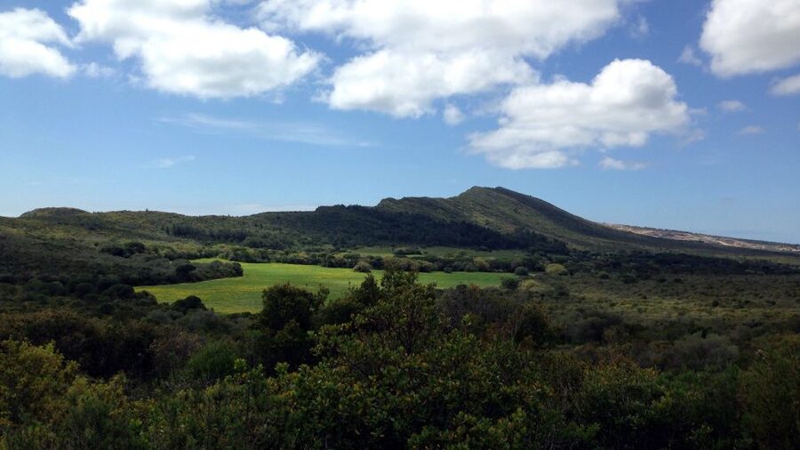 Lisbon: Hiking in Arrábida Natural Park - Why Arrábida Natural Park Makes a Perfect Lisbon Escape