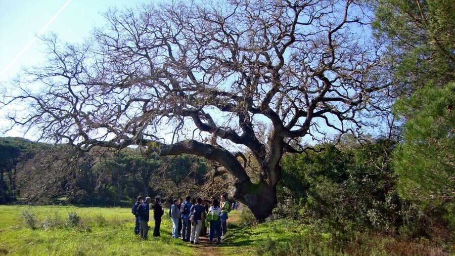 Lisbon: Hiking in Arrábida Natural Park - Meeting Point Details and How to Avoid First-10-Minute Stress