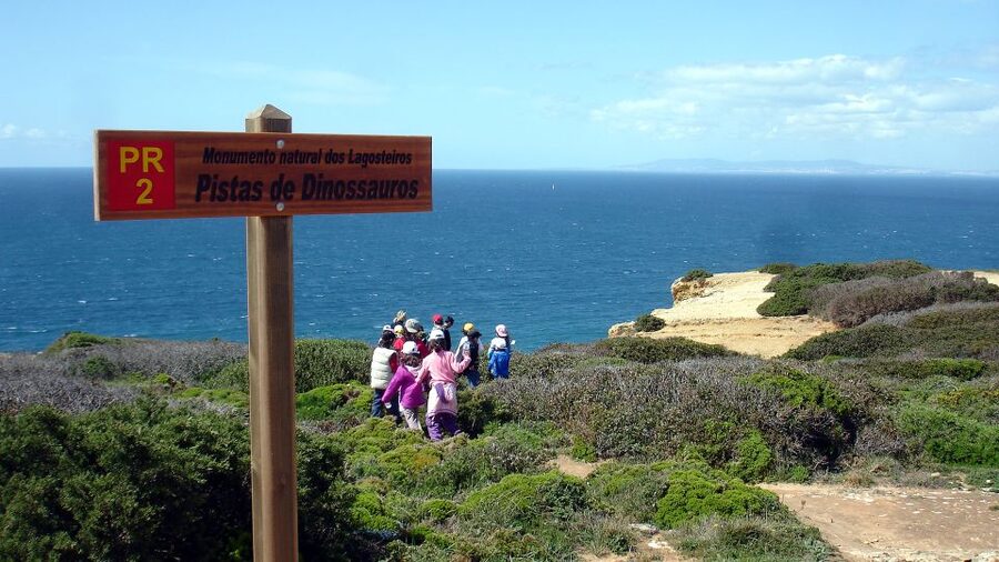 Lisbon: Hiking in Arrábida Natural Park - Walking with a Local Guide: Plant Notes, Geology, and Real Stories