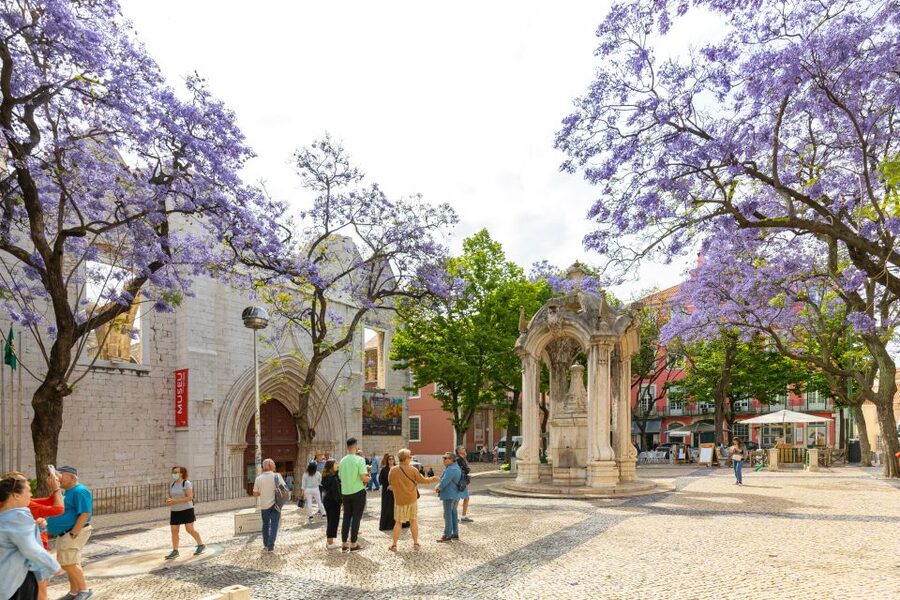 Lisbon: History, Stories and Lifestyle Walking Tour - Price and value: $29 for a 3-hour Lisbon orientation that mixes inside stops with viewpoints