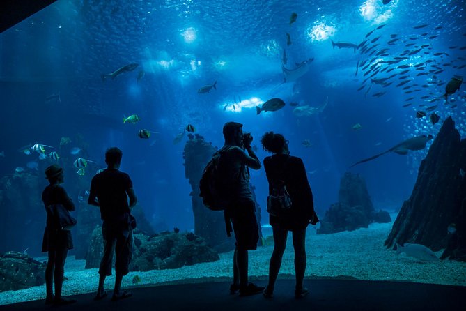 Lisbon Hop-On Hop-Off Bus and Boat Tour with Oceanário Ticket - Key things to know before you go