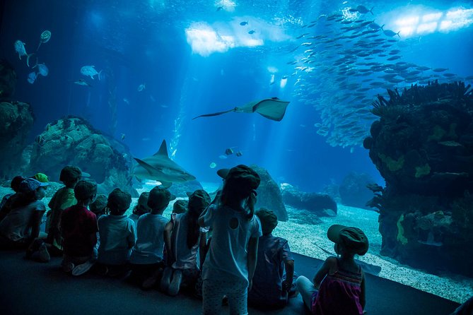 Lisbon Hop-On Hop-Off Bus and Boat Tour with Oceanário Ticket - Price and what $70 actually covers