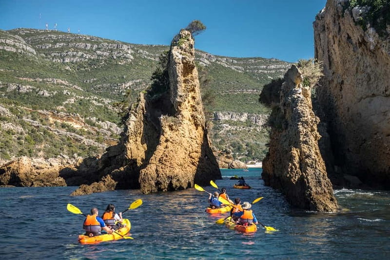 Lisbon: Kayak Tour Arrábida Natural Park, Setubal, Sesimbra - Anicha Island marine life: why that stop feels special