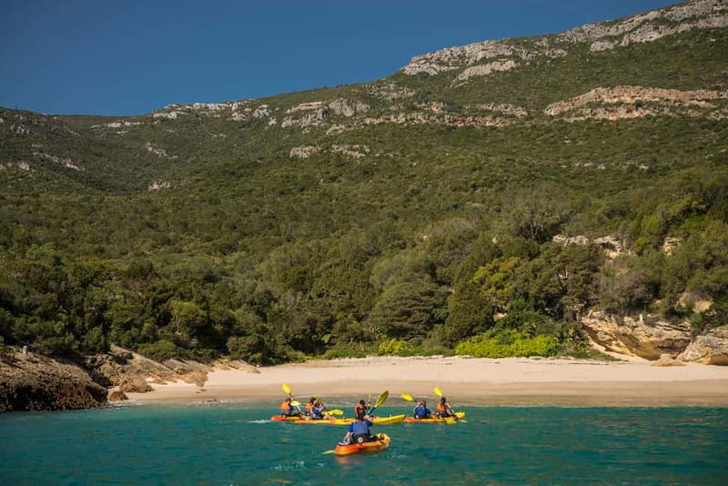 Lisbon: Kayak Tour Arrábida Natural Park, Setubal, Sesimbra - Who should book this kayak tour (and who should reconsider)