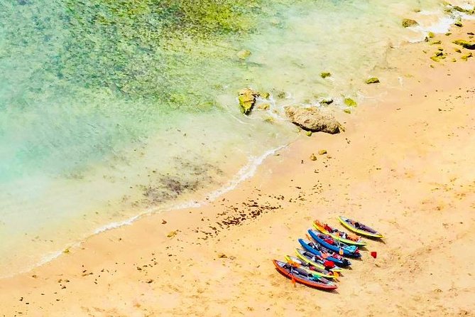 Lisbon Kayak Tour (Transfer & Lunch) - Gearing up: what you’ll do before your first paddle