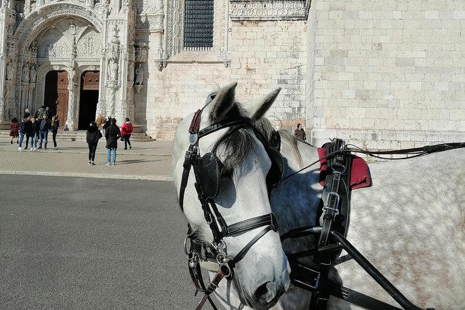 Lisbon Layover - Best for: who will love this tour most