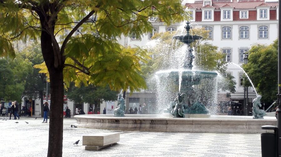 Lisbon: Layover Tour with Airport Pickup and Drop-Off - Price and value: does $256 per group make sense?