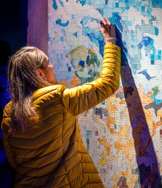 Lisbon: Living Van Gogh Exhibition Ticket - Final call: should you book this show?