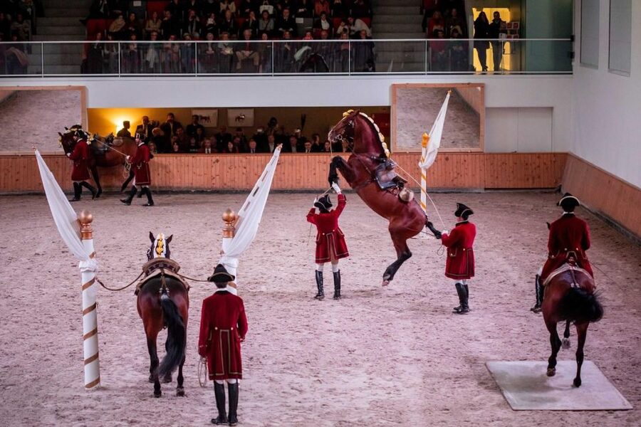 Lisbon: Morning of Equestrian Art with Lusitano Horses - Key takeaways before you go