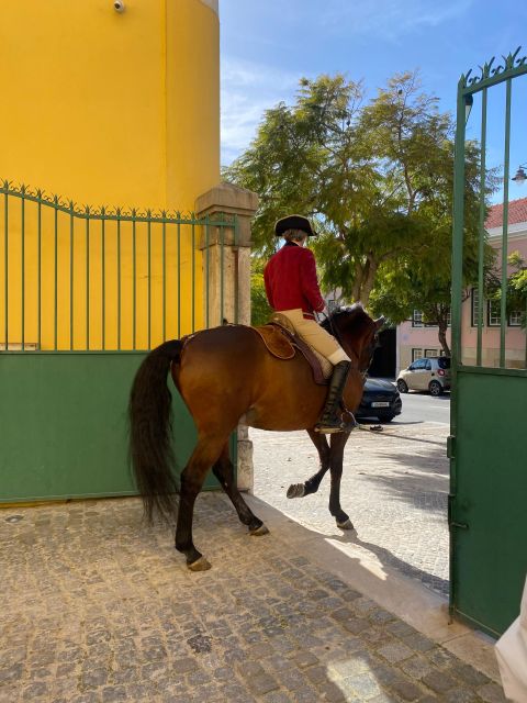 Lisbon: Morning of Equestrian Art with Lusitano Horses - Who should book this equestrian art morning