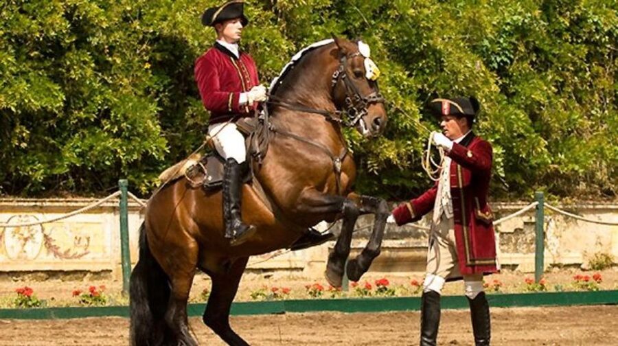 Lisbon: Morning of Equestrian Art with Lusitano Horses - What this Lisbon equestrian morning is really about